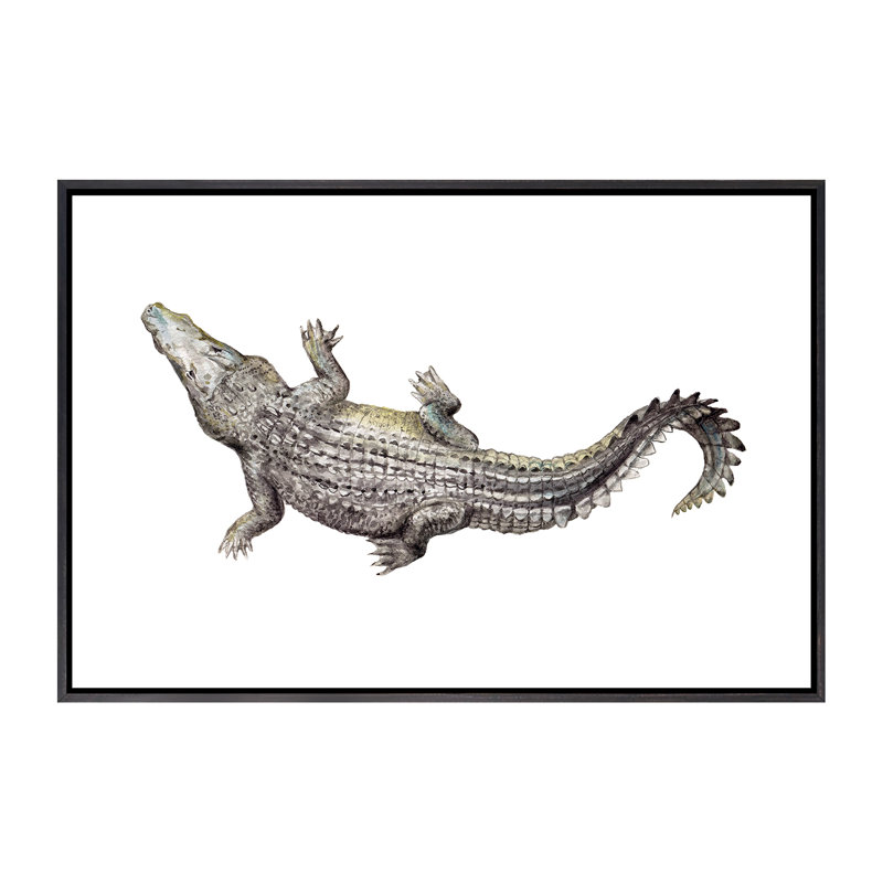 Croc par Wandering Laur - impression d'art graphique, Toile avec cadre noir patiné, Pas de tapis