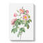 Tomentose Rose In Pink by Pierre-Joseph Redoute - Wrapped Canvas-55361270