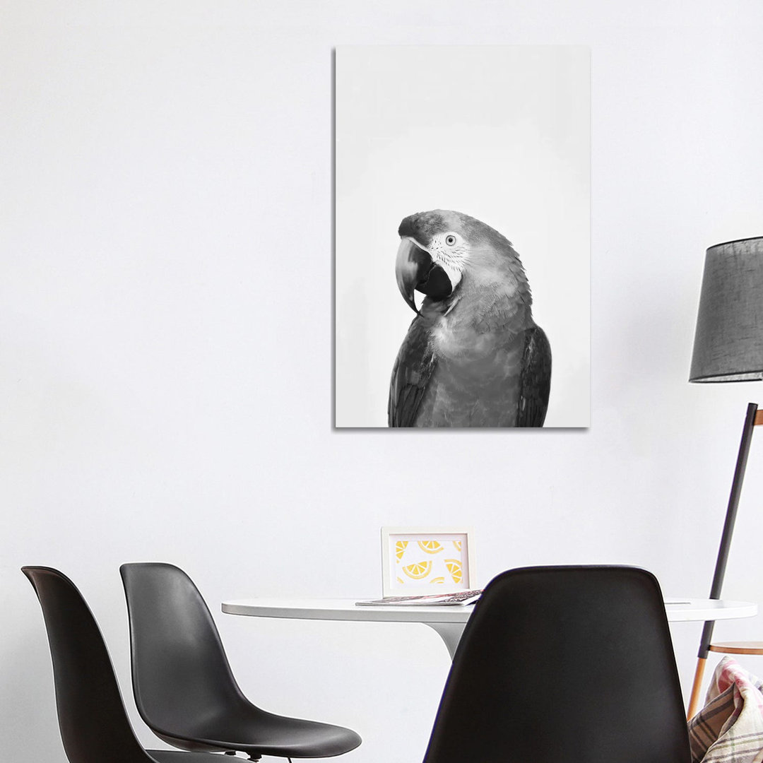 Parrot In Black & White von Sisi & Seb - Galerie-verpackte Leinwand Giclée