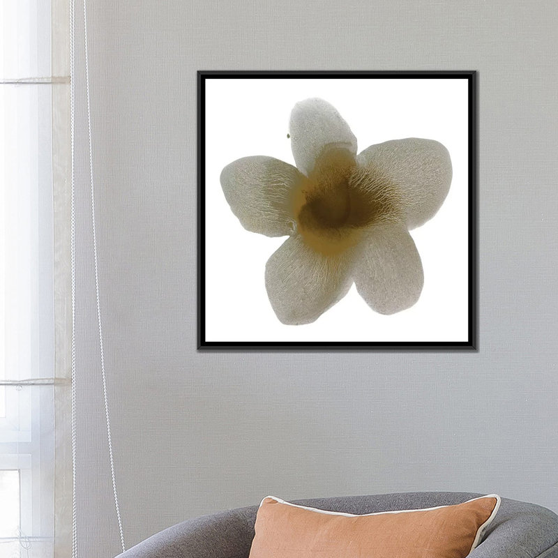 «Taupe Bloom II», reproduction sur toile, H 18 po x l 18 po x P 1,5 po, Toile avec cadre flottant noir, Pas de tapis