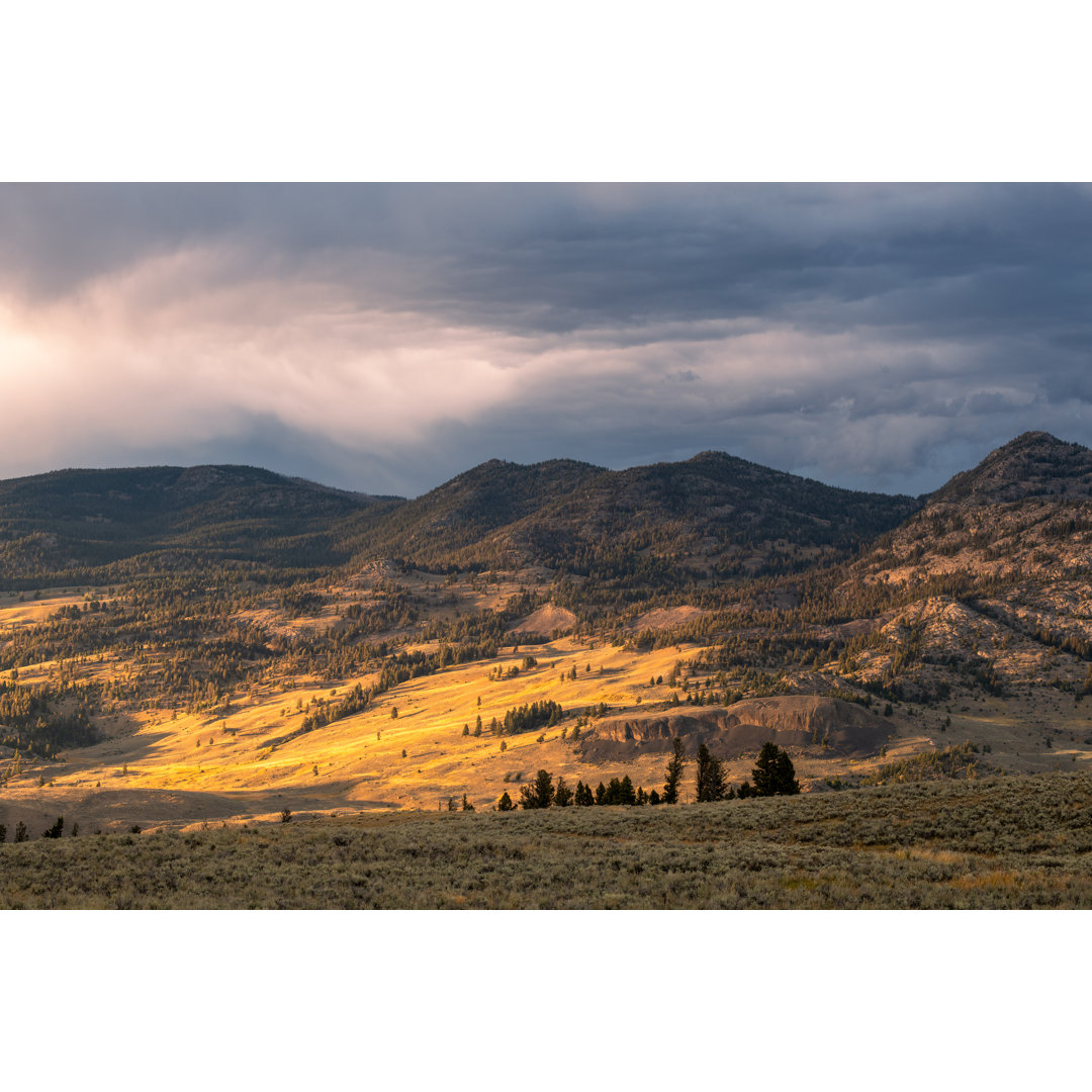 Letztes Licht im Yellowstone von Aimintang - Drucken