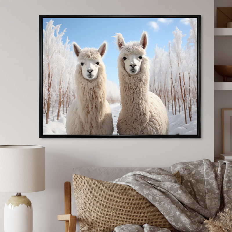 Alpagas Graceful Alpacas III - impression, H 12 po x l 20 po x P 1 po, Cadre flottant noir