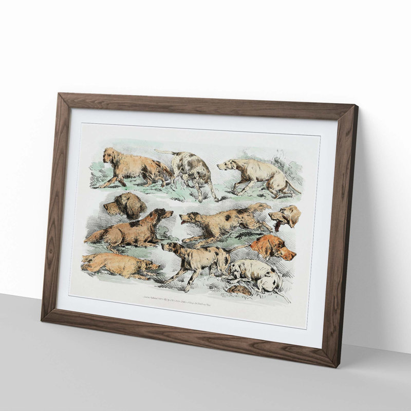 Illustration of Hounds by Henry Alken - Picture Frame Painting Print, 48cm H x 65cm W x 2cm D, Walnut Framed