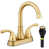 Brushed Gold is out of stock selected