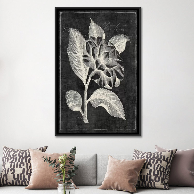 «Black Botanical II», impression sur toile, H 26 po x l 18 po x P 1,5 po, Toile avec cadre noir, Pas de tapis
