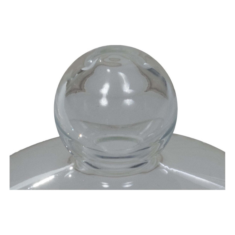 Glass Cloche Spice, Salt