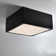 Leni LED Outdoor Flush Mount