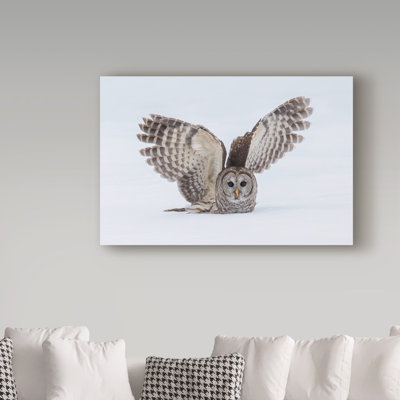 «How Do You Like My Wings» par Gwenora, reproduction de photo sur toile tendue