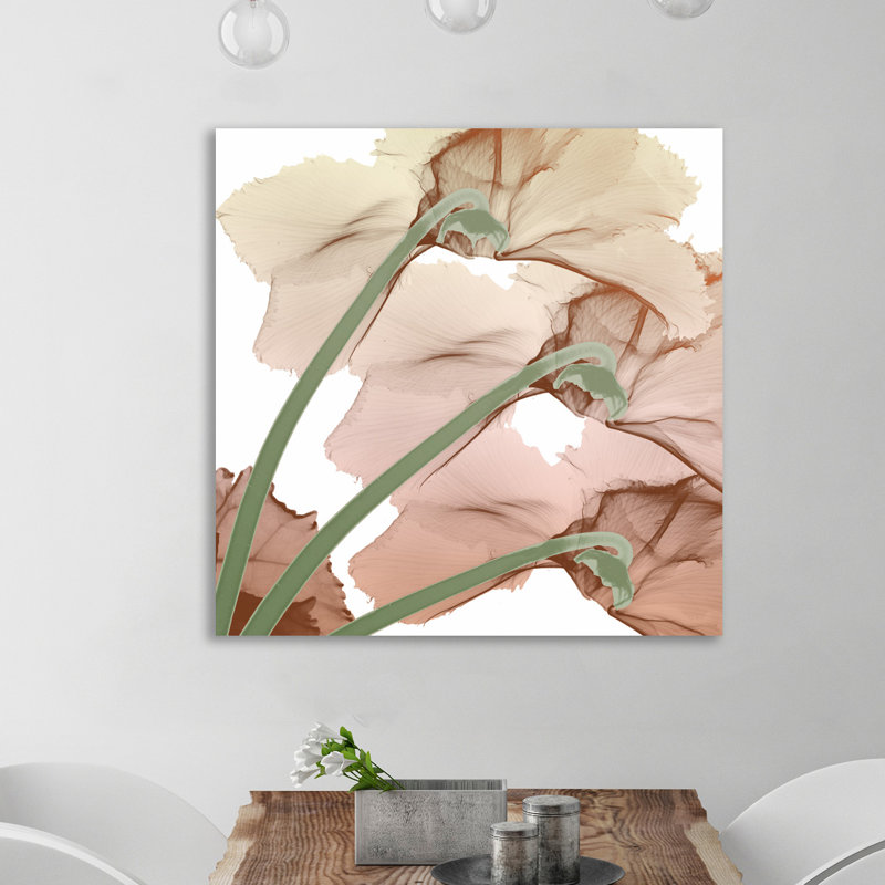 Peach Luster Cyclamen - Wrapped Canvas Print, 91 cm H x 91 cm W