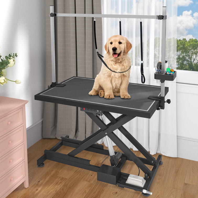 https://assets.wfcdn.com/im/07701409/resize-h755-w755%5Ecompr-r85/2554/255426183/Pet+Electric+Grooming+Table.jpg