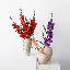 Garden Gladiolus Stem-205647111-205647128