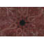 One-of-a-Kind 5'10”x6'2” Area Rug