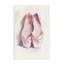 Toile Soft Slush Ballet, design par Ray Powers-1127673612
