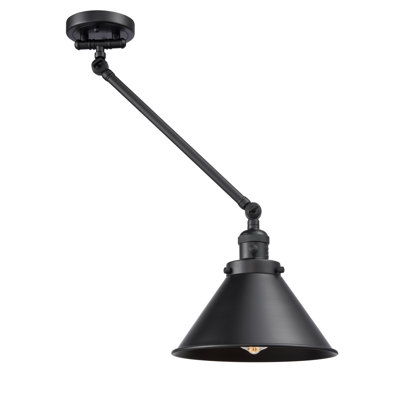 Bras pivotant à 1 lumière Paylor