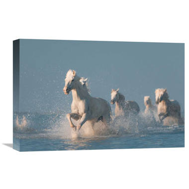 Angels Of Camargue On Canvas by Rostov.Foto