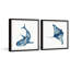 Shark And Stingray by Marmont Hill - 2 Piece Single Picture Frame Painting Set-1752882599