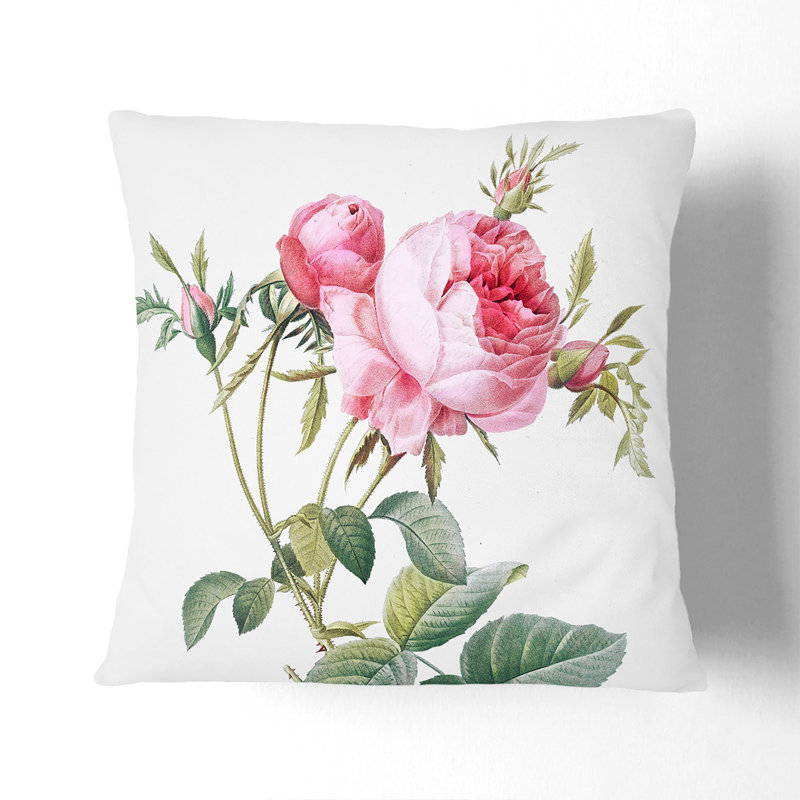 Cabbage Roses in Bloom by Pierre-Joseph Redoute Cushion with Filling, 40cm H x 40cm W x 15cm D, White