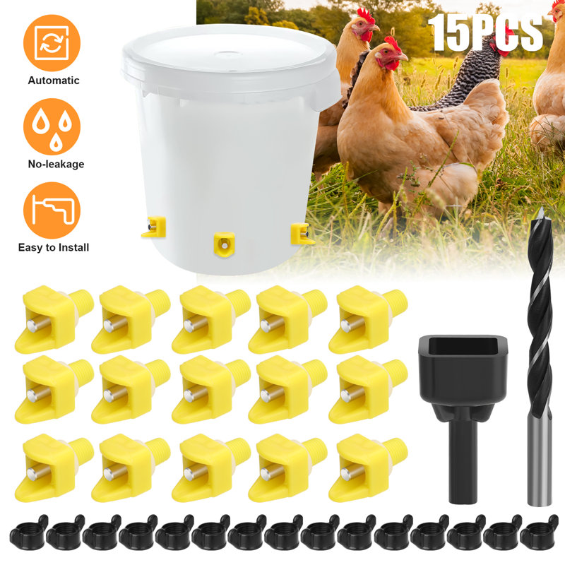 Fhionn Waterer