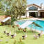 Maison pour animaux de compagnie, poulailler, poulailler extérieur, maison pour canards