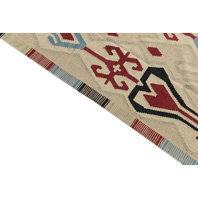 9x12 Petrella Multi Rug