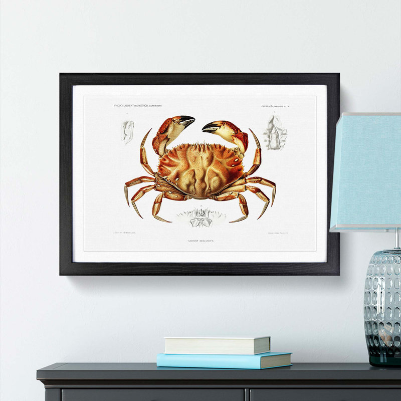 Crab by Albert I - Picture Frame Painting Print, 36cm H x 48cm W x 2cm D, Black Framed