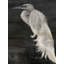 Toile tendue Beachcrest Home-1014289285