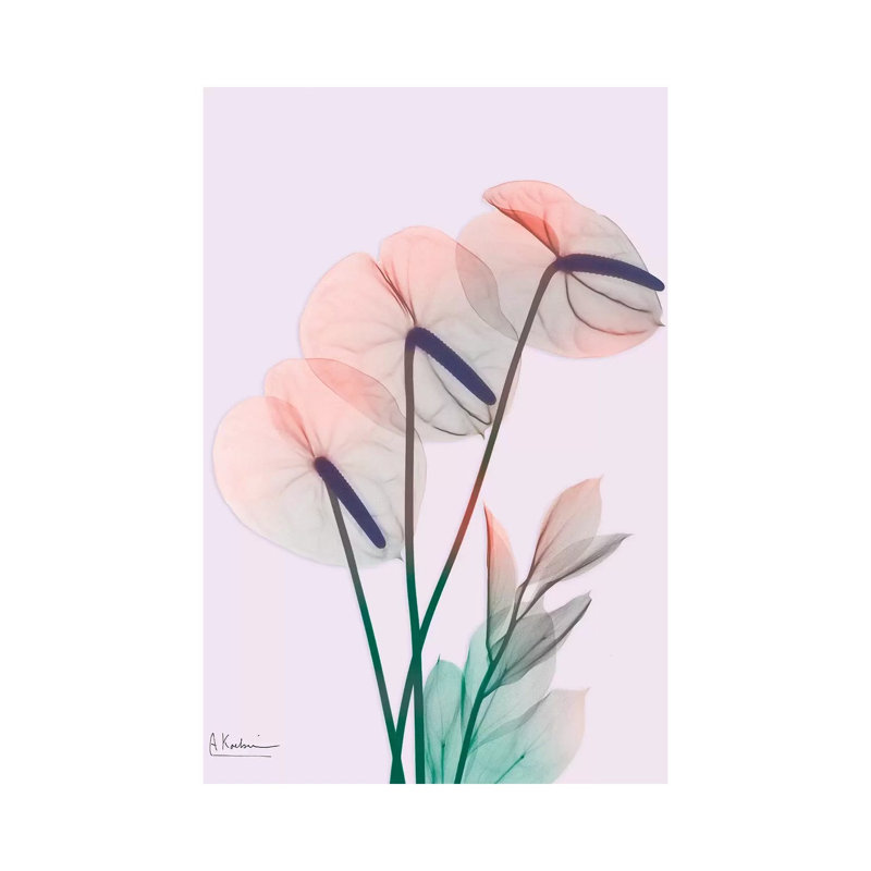 Flamingo Delight III by Albert Koetsier - Wrapped Canvas Print, 20.32 cm H x 30.48 cm W