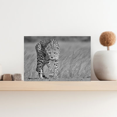 Powerful Cheetah Walk Contemporary Cat Nature Portrait Wall Art