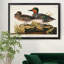 Vert sarcelle ailé - reproduction d'art sur toile-702171523-702171521