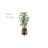 54'' Faux Palm Tree in Wood Decorative Vase