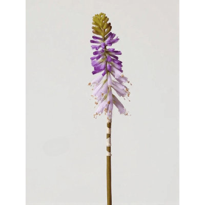 Purple Pineapple Lily Stem â€“ 28.7"