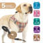 Harnais réglable pour chien avec laisse Gesemyer-252111964
