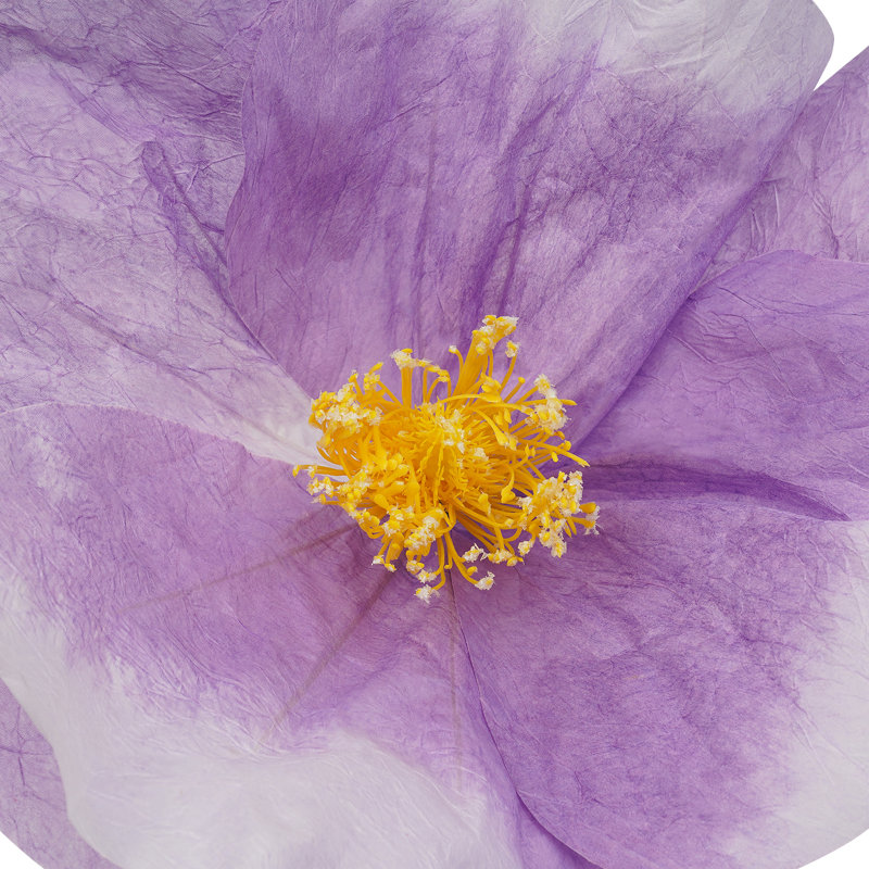 Ensemble de 3 grandes fleurs artificielles autoportantes pour la décoration de mariages et de fêtes., Purple