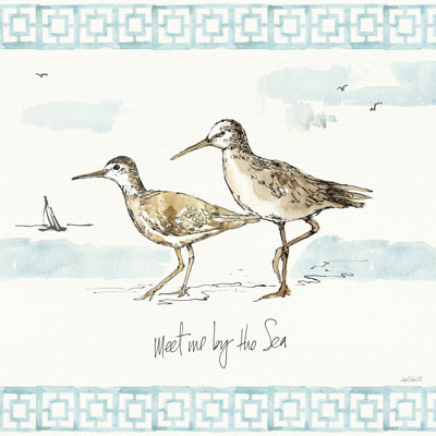 Sandpiper Sea IV