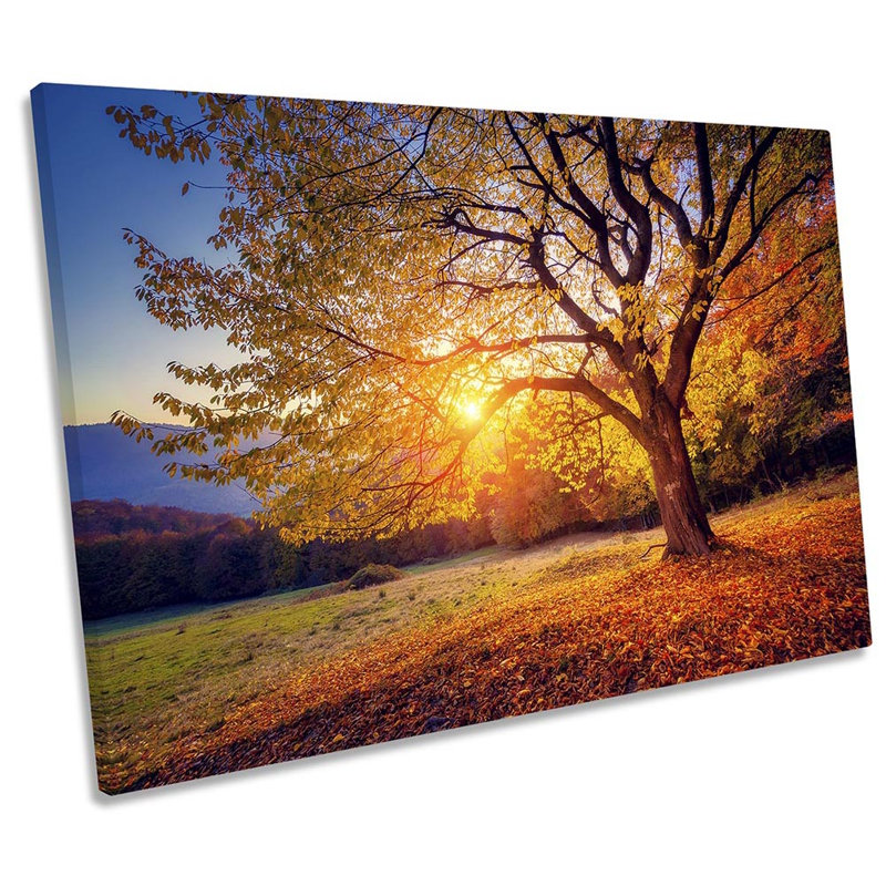 Autumn Beech Tree Sunrise - Wrapped Canvas Art Prints, 30.5cm H x 45.7cm W x 2cm D