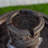 Outdoor Birdbath Fountain