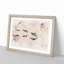 A Flock of Pelicans Watercolour - Picture Frame Graphic Art Print-56875021-56875024