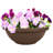 Pot Planter
