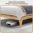 Nuvia Solid Wood Platform Queen Bed with Upholstery Curved Headboard