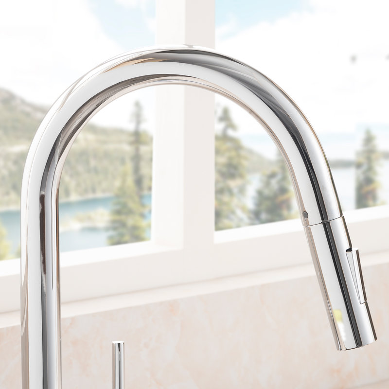 Gemini Single Handle Kitchen Faucet with Side Spray and Accessories, Chrome