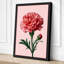 Pink Carnation Botanical - Wrapped Canvas-152179238-152179239