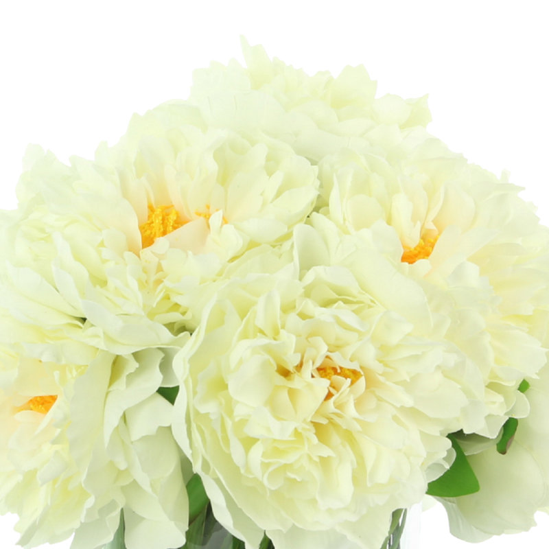 Peony Arrangement in Glass Vase with Grass, Cream