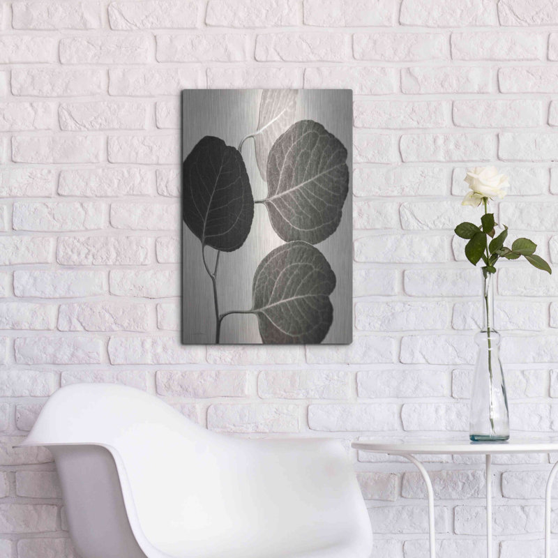 "Eucalyptus sépia" par Debra Van Swearingen, H 24 po x l 16 po
