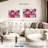 Yarlin Sprinkled Donuts-108975266
