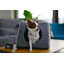 Polyester Igloo Style Dog House