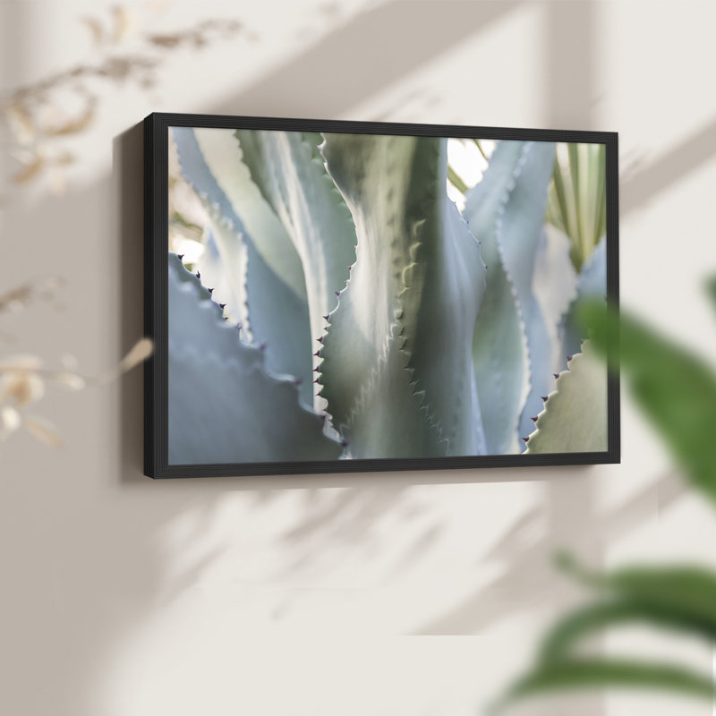 Blue Agave II -Framed Print - Restickable, Black, 16" H x 20" W