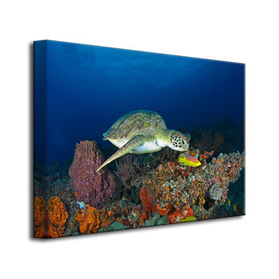 Animals Canvas Art