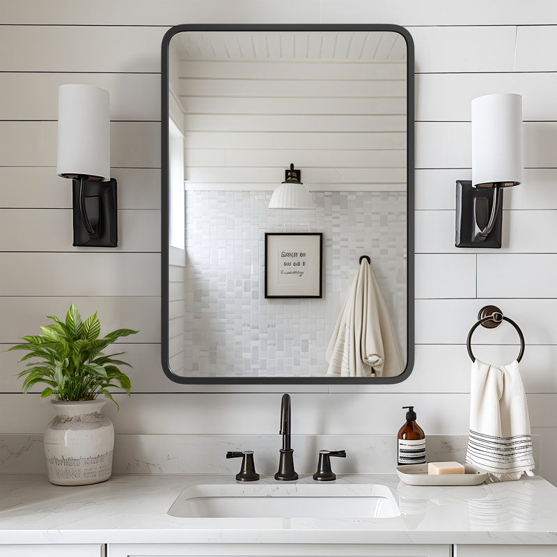 Bryndon Medicine Cabinet Mirror, Black, 30" H x 24" W