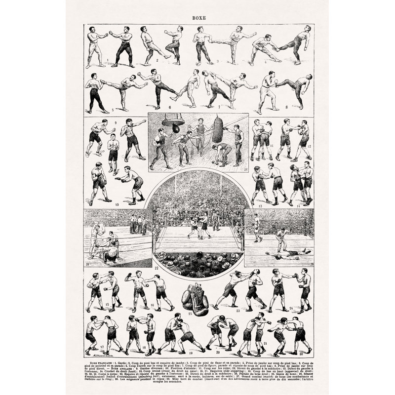 French And English Boxing by Gwengoat - Wrapped Canvas Print, 46cm H x 30cm W