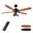 52'' Ceiling Fan with Light Kit
